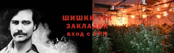 крисы Балахна