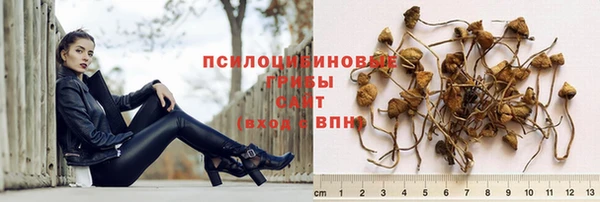 крисы Балахна