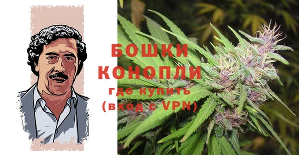 крисы Балахна