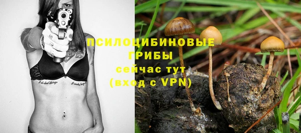 крисы Балахна