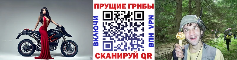 Галлюциногенные грибы ЛСД  Печора 